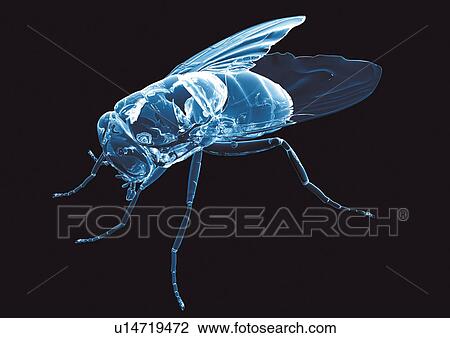 Stock Image - black, black background, blue. Fotosearch