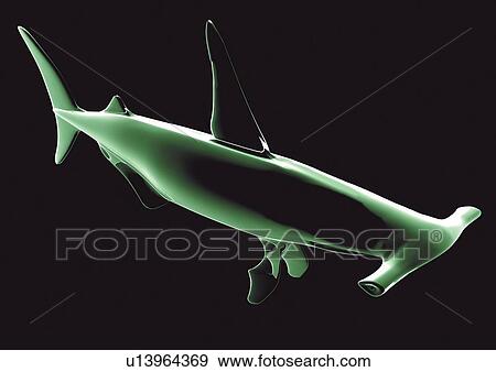 black, illuminated, model, black background, close-up, green, x-translucent View Large Photo Image Stock Photo - black, illuminated, model, black background, close-up, green, x-translucent. Fotosearch