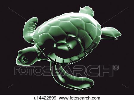 Stock Photo - black, x-translucent, close-up, representation, translucent, model. Fotosearch