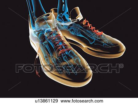 Stock Photo - glow, representation, illuminated, internal frame, graphics, abstract, x-translucent. Fotosearch
