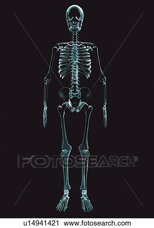 illusionary, black, graphics, green, translucent View Large Photo Image Stock Image - illusionary, black, graphics, green, translucent. Fotosearch
