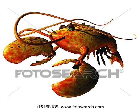 Stock Photo - 3D, lobster, cartoon, cute, animal. Fotosearch