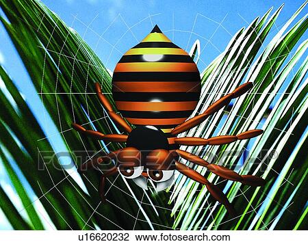 3D, spider, cartoon, cute, animal View Large Photo Image Stock Image - 3D, spider, cartoon, cute, animal. Fotosearch