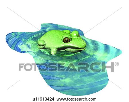 Picture - green, frog, pool, water, cartoon. Fotosearch