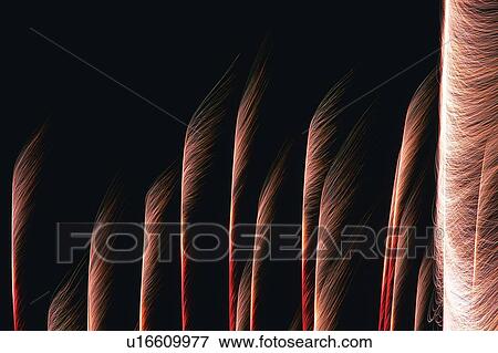 Stock Photo -  Fine Light Pink-colored Fireworks Exploding in the Night Sky, Long Exposure. Fotosearch