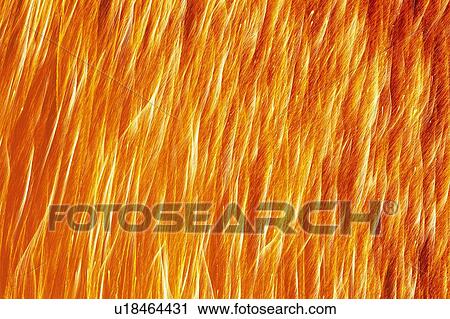 Orange and Red-colored Fireworks, Several Long Lines, Long Exposure View Large Photo Image Stock Image - Orange and Red-colored Fireworks, Several Long Lines, Long Exposure. Fotosearch