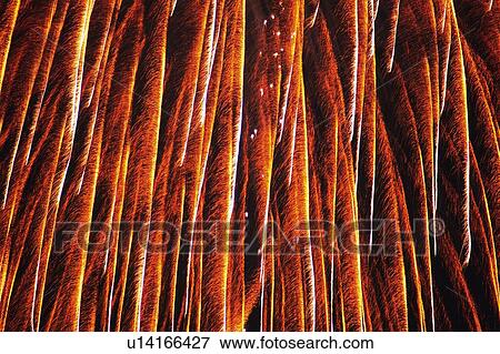 Stock Photo -  Red and Orange-colored Fireworks Exploding in the Night Sky, Long Exposure, Low Angle View . Fotosearch