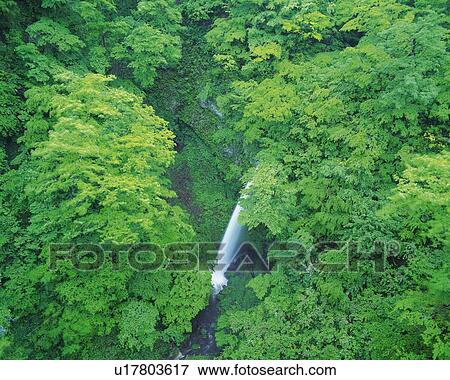 a Little Waterfall, Surrounded By a Lot of Green Leaves, High Angle View, Long Exposure View Large Photo Image Stock Photo - a Little Waterfall, Surrounded By a Lot of Green Leaves, High Angle View, Long Exposure. Fotosearch