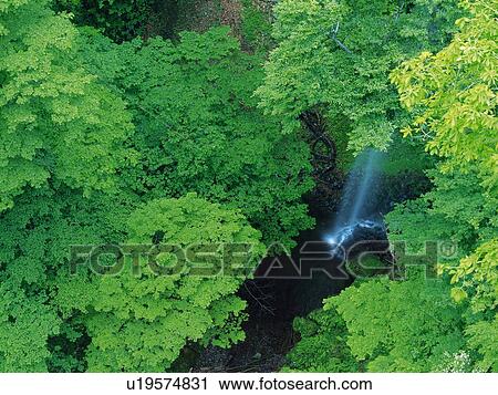 Stock Image -  a Little Waterfall, Surrounded By Several Green Leaves, Long Exposure, High Angle View. Fotosearch