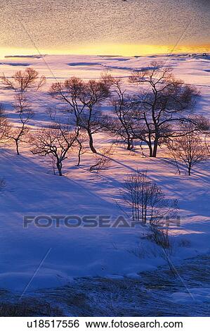 Stock Photograph - Field Covered with Snow, High Angle View. Fotosearch
