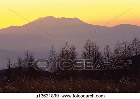 Trees and Mountain in the Sunset, High Angle View View Large Photo Image Stock Photo - Trees and Mountain in the Sunset, High Angle View. Fotosearch