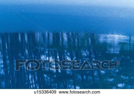 Stock Photo - Trees Reflecting on the Water Surface, High Angle View. Fotosearch