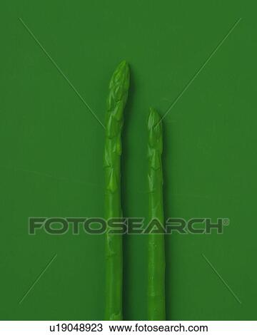 Clay Craft, Asparagus, Front View View Large Photo Image Stock Image - Clay Craft, Asparagus, Front View. Fotosearch