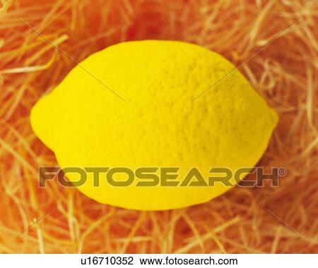 Clay Craft, Lemon, Close Up View Large Photo Image Stock Image - Clay Craft, Lemon, Close Up. Fotosearch