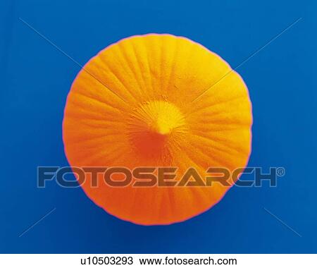Stock Image - Clay Craft, Onion, Close Up. Fotosearch
