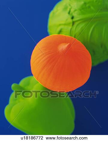 Clay Craft, Vegetables, Close Up View Large Photo Image Stock Image - Clay Craft, Vegetables, Close Up. Fotosearch