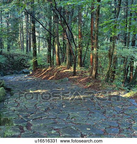 Stock Image -  a Pavement Made of Stones, Found in the Forest, Nagano Prefecture. Fotosearch