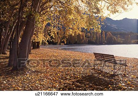 Bench By Lake In Autumn View Large Photo Image Stock Photo - Bench By Lake In Autumn. Fotosearch
