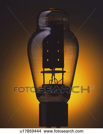 Picture - A bulb, Close Up. Fotosearch