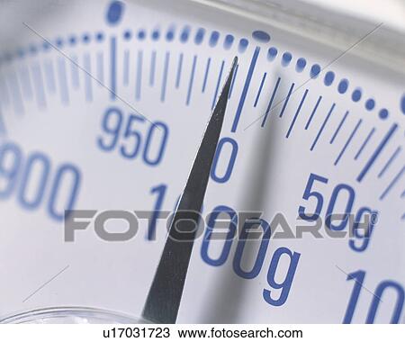 A scale, Close Up View Large Photo Image Stock Image - A scale, Close Up. Fotosearch