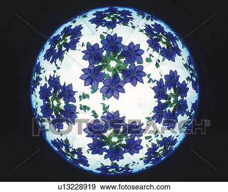 Kaleidoscope, Flower, Front View View Large Photo Image Stock Photo - Kaleidoscope, Flower, Front View. Fotosearch