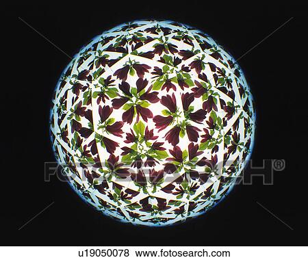 Stock Photo - Kaleidoscope, Flower, Front View. Fotosearch