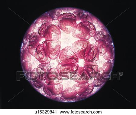 Kaleidoscope, Front View View Large Photo Image Stock Image - Kaleidoscope, Front View. Fotosearch