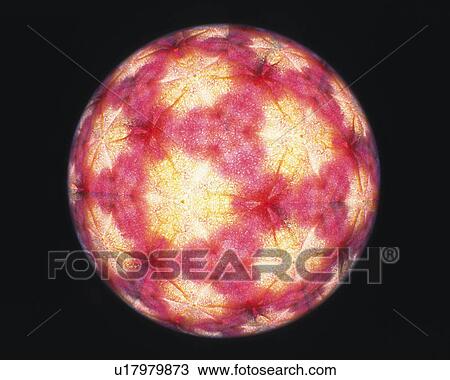 Stock Image - Kaleidoscope, Front View. Fotosearch