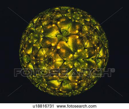 Stock Image - Kaleidoscope, Front View. Fotosearch