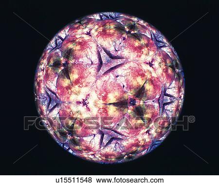 Stock Photo - Kaleidoscope, Front View. Fotosearch