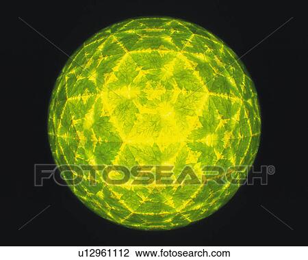 Kaleidoscope, Leaf, Front View View Large Photo Image Stock Image - Kaleidoscope, Leaf, Front View. Fotosearch