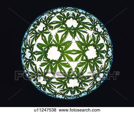 Kaleidoscope, Leaf, Front View View Large Photo Image Stock Photo - Kaleidoscope, Leaf, Front View. Fotosearch