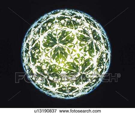 Stock Photo - Kaleidoscope, Leaf, Front View. Fotosearch