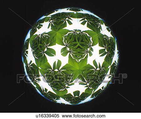 Kaleidoscope, Leaf, Front View View Large Photo Image Stock Photography - Kaleidoscope, Leaf, Front View. Fotosearch