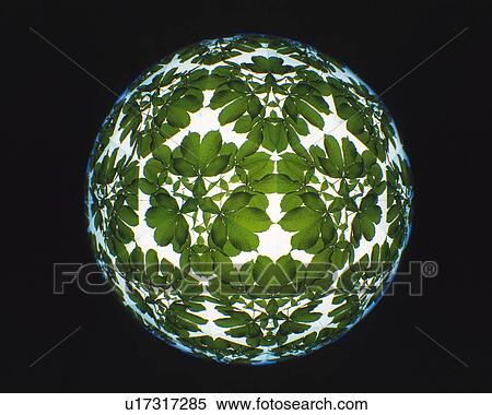 Stock Photography - Kaleidoscope, Leaf, Front View. Fotosearch
