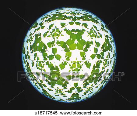 Stock Photography - Kaleidoscope, Leaf, Front View. Fotosearch