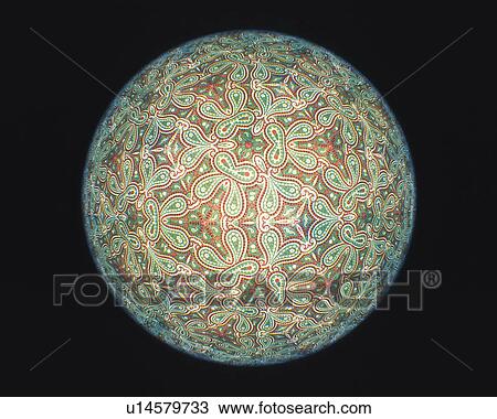 Stock Image - Kaleidoscope, Paisley, Front View. Fotosearch