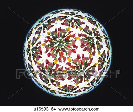 Kaleidoscope, Tulip, Front View View Large Photo Image Picture - Kaleidoscope, Tulip, Front View. Fotosearch
