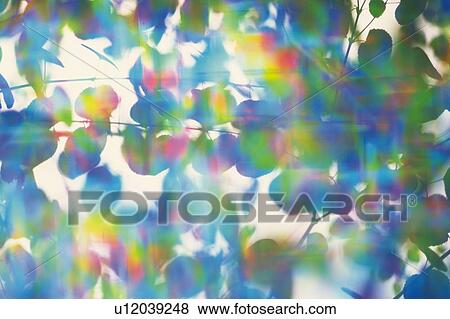 Stock Photo - Fresh Green Leaves, Close Up, Lens Flare, Defocused. Fotosearch