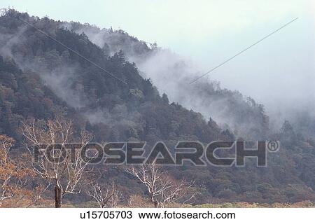 Stock Image - Mist In Hills. Fotosearch