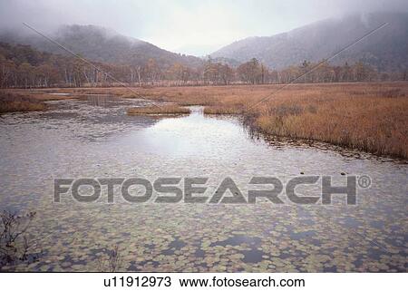 Stock Image - Swamp Near Hills. Fotosearch