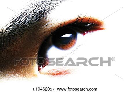 Young Man Eye View Large Photo Image Stock Photo - Young Man Eye. Fotosearch