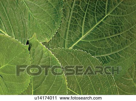 environment, focus, indoor View Large Photo Image Stock Image - environment, focus, indoor. Fotosearch