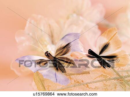 Picture - Indoor. Fotosearch