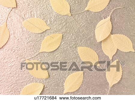 Picture - Indoor. Fotosearch