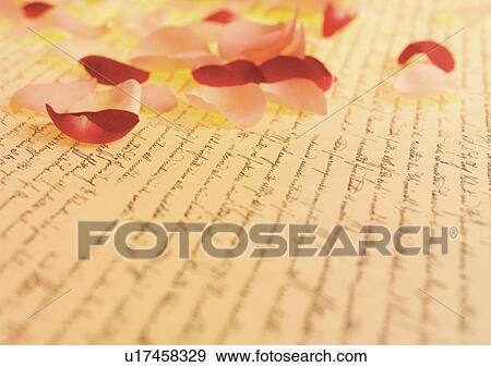 Stock Photo - Indoor, Rose Petals, Calligraphy. Fotosearch