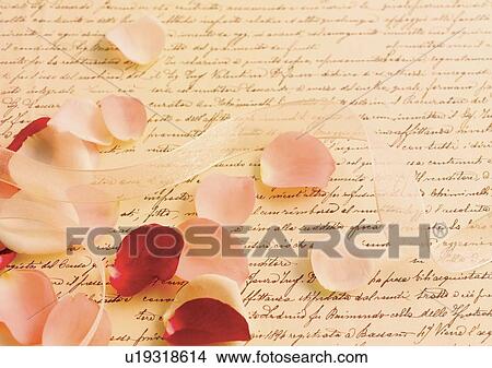 Picture - Indoor, Rose Petals. Fotosearch