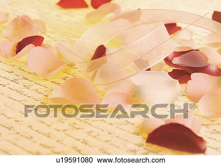 Stock Image - Indoor, Rose Petals. Fotosearch