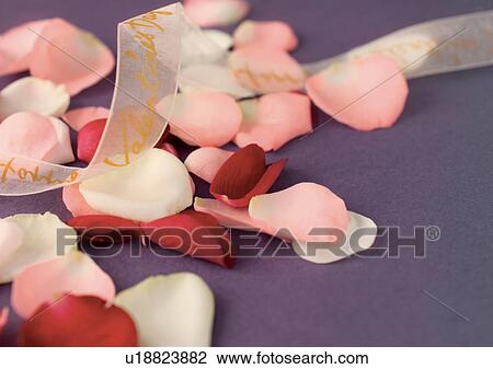 Indoor View Large Photo Image Stock Image - Indoor. Fotosearch