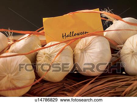 Stock Photo - Indoor. Fotosearch